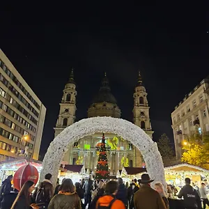 Danube Bridge Budapeşte